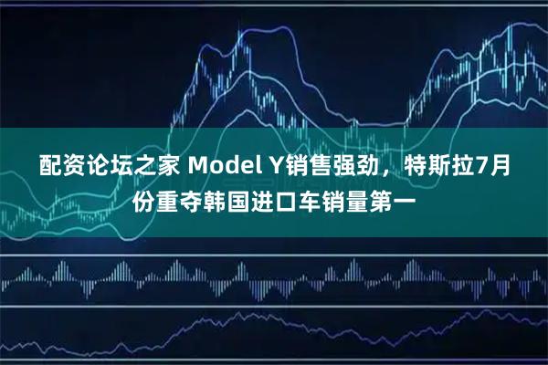 配资论坛之家 Model Y销售强劲，特斯拉7月份重夺韩国进口车销量第一