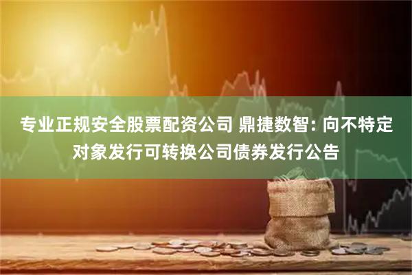 专业正规安全股票配资公司 鼎捷数智: 向不特定对象发行可转换公司债券发行公告