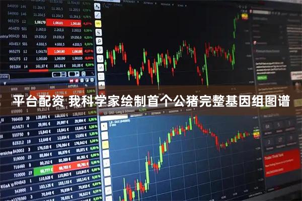 平台配资 我科学家绘制首个公猪完整基因组图谱