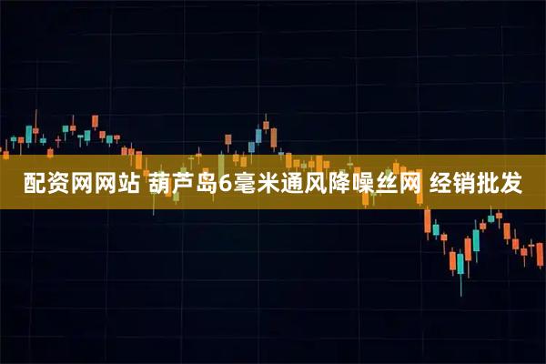 配资网网站 葫芦岛6毫米通风降噪丝网 经销批发