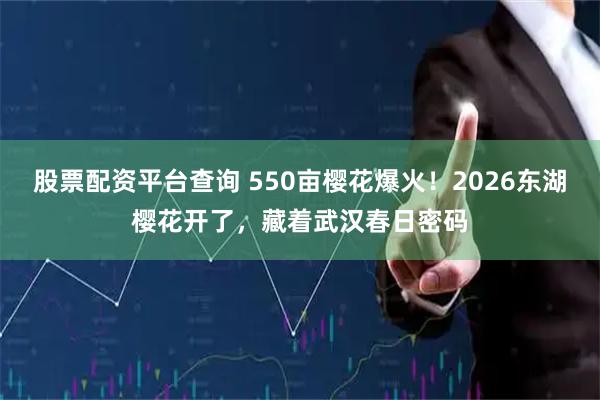 股票配资平台查询 550亩樱花爆火！2026东湖樱花开了，藏着武汉春日密码